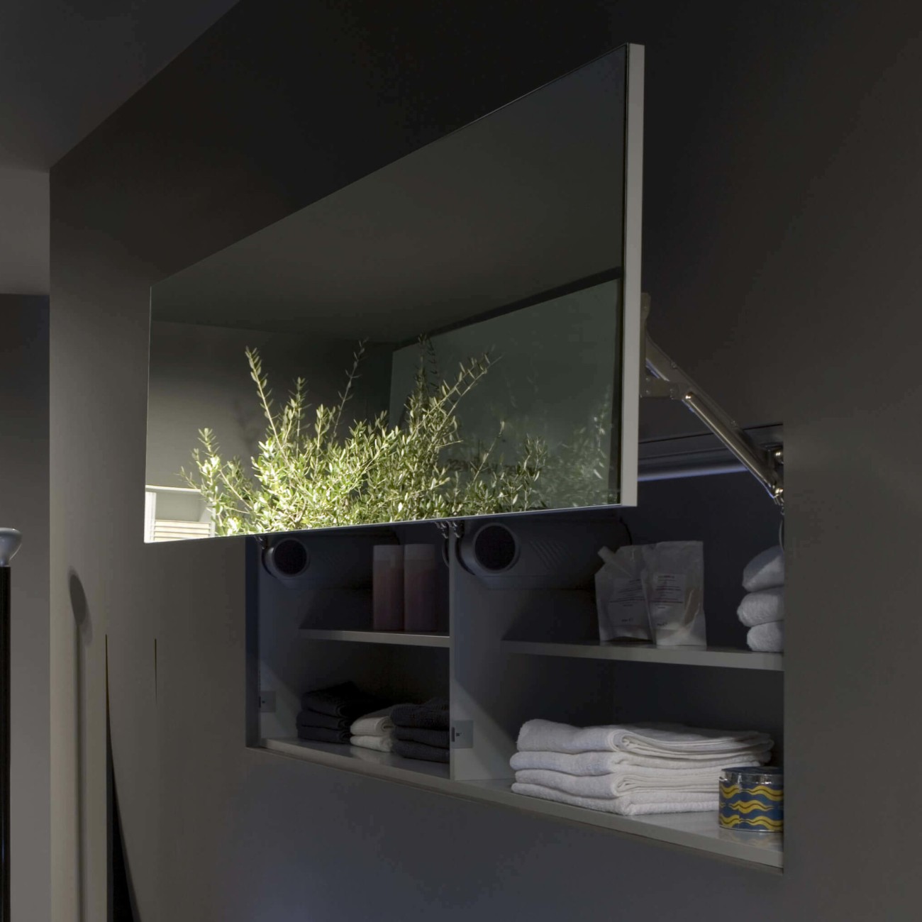 Segreto Mirror with Cabinet Antoniolupi