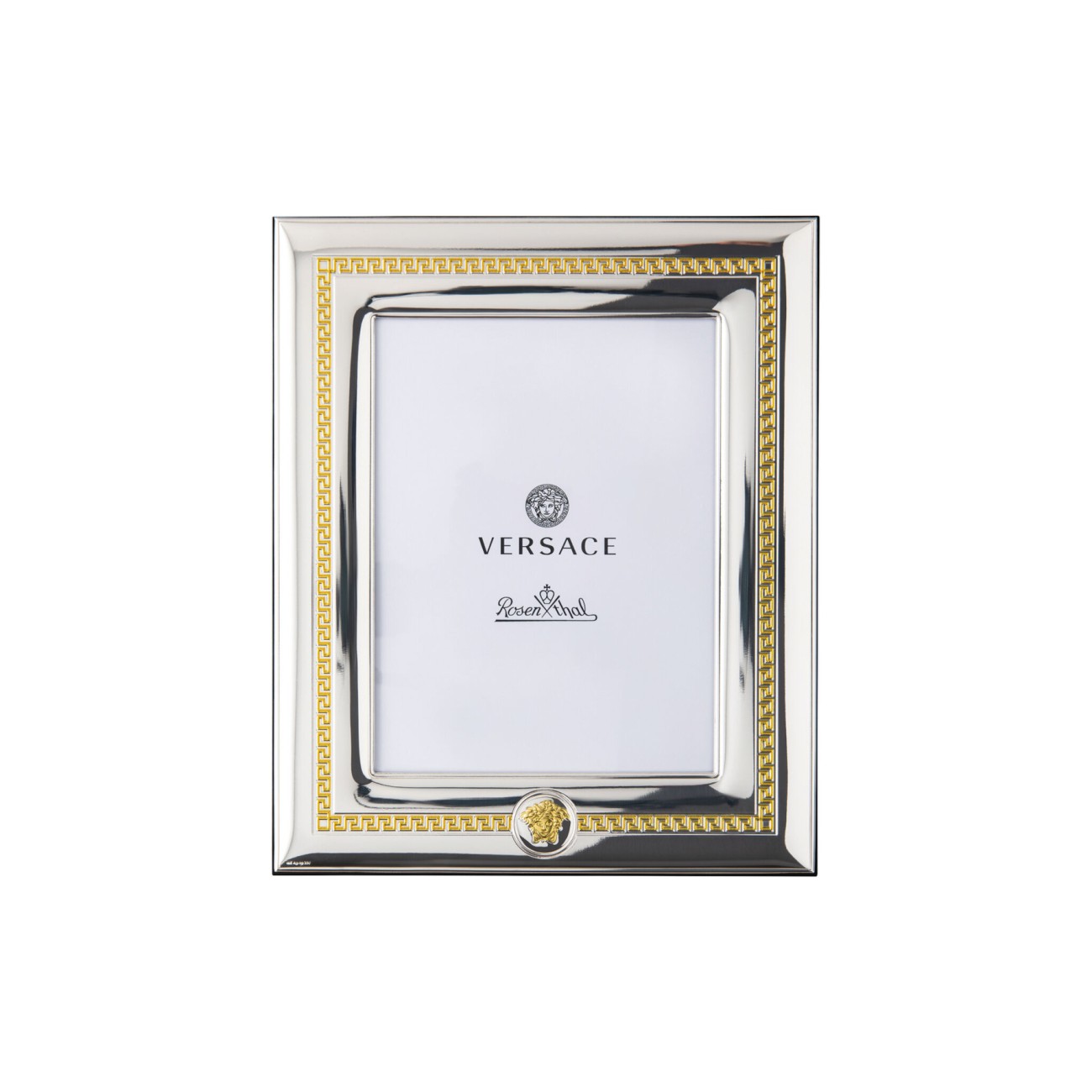 Versace Frame Silver/Gold Versace Rosenthal