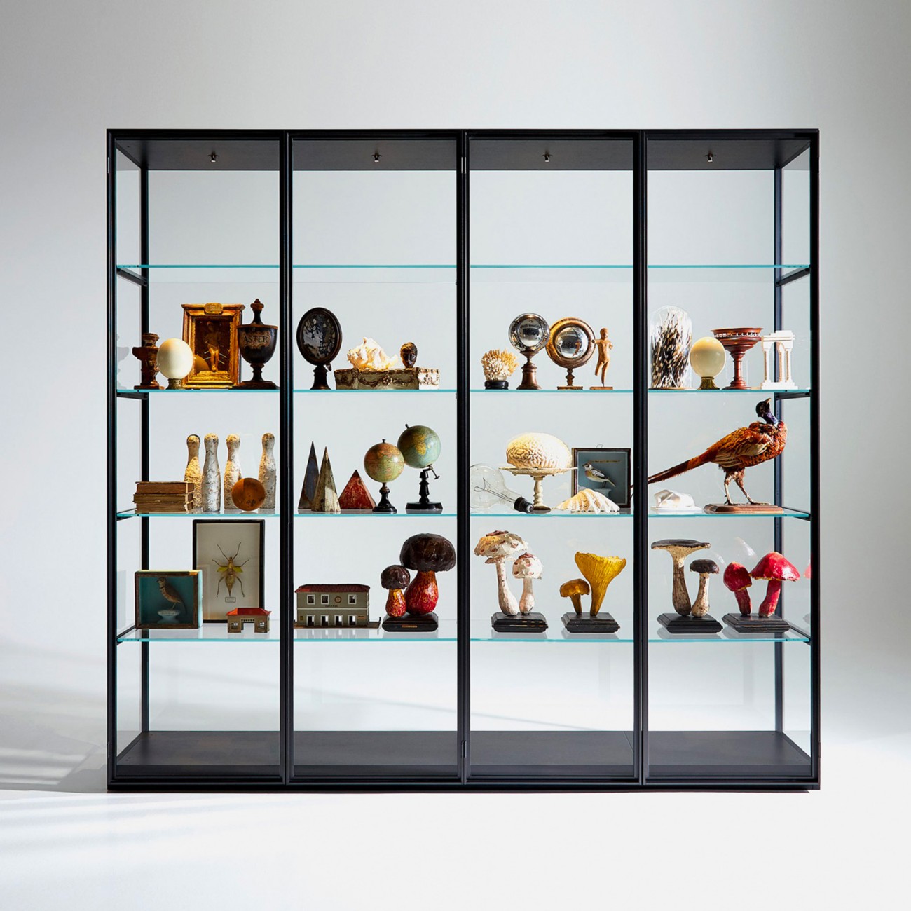 Ex-Libris Glass Cabinet  Porro