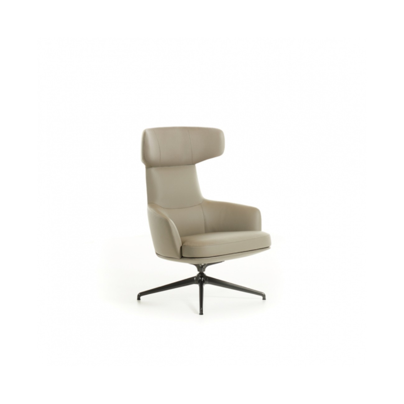 Piccadilly Armchair Molteni&C